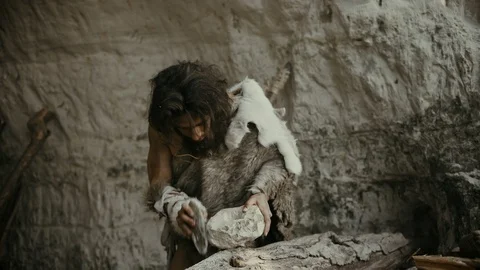 Primeval Caveman Wearing Animal Skin Hit... | Stock Video | Pond5