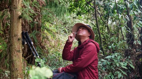 In the primeval forest, a man doing outdoor hiking is eating biscuits 動画素材 329548902