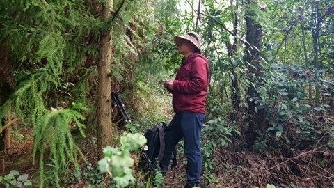 In the primeval forest, a man doing outdoor hiking is eating biscuits Stock Footage 329548959