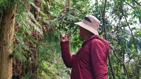 In the primeval forest, a man doing outdoor hiking is eating biscuits Stock Footage 329548998