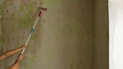 Priming a room wall with a roller on a long handle and copy space Stock Photos