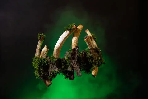 Primitive bone and moss crown with eerie lighting Stock Photos