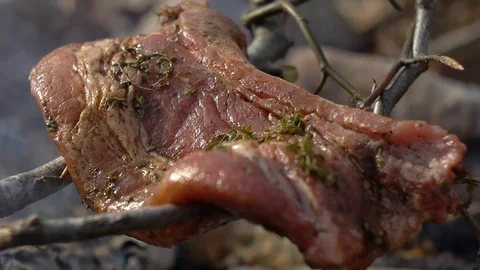 Primitive cooking of meat with spices Stock Footage 94472972