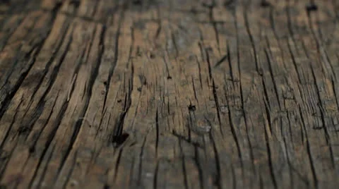Primitive driftwood texture - rough wood surface - 1080p slow motion Stock Footage