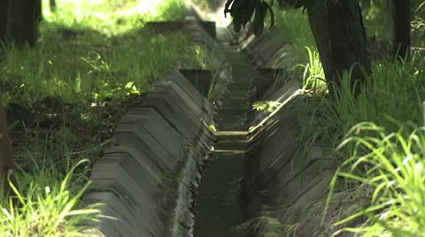 Primitive Irrigation Method 스톡 동영상 19177613