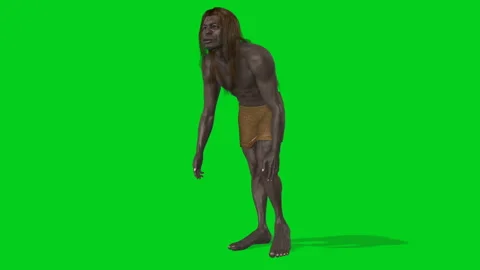 Primitive pre historic man Stock Footage 293323578