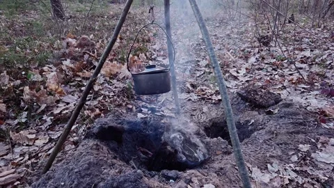 Primitive survival camp Stock Footage 333844820