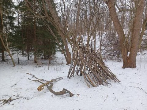 Primitive teepee shelter made from branches in winter forest. Stock Photos