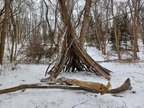 Primitive teepee shelter made from branches in winter forest. Stock Photos