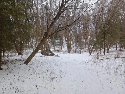 Primitive teepee shelter made from branches in winter forest. Stock Photos