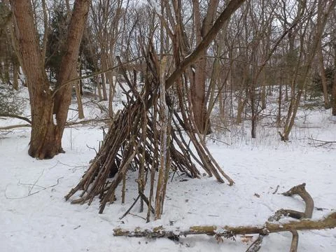 Primitive teepee shelter made from branches in winter forest. Stock Photos