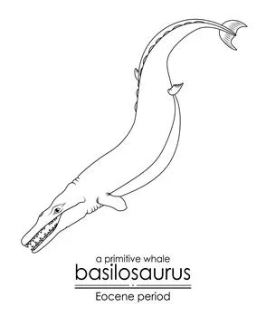 A primitive whale Basilosaurus from Eocene period. Stock Illustration
