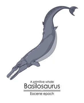 A primitive whale Basilosaurus Stock Illustration