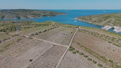 Primošten Bucavac – Turning Drone View From Stone Vineyards to Adriatic &amp; Marina Stock Footage 337153748