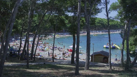 Primosten pine beach Stock Footage 45823973
