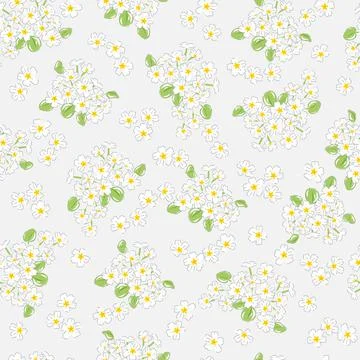 Primrose vector seamless pattern. Illustrazione stock