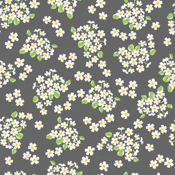 Primrose vector seamless pattern. Stock Illustration