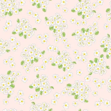 Primrose vector seamless pattern. Stock Illustration