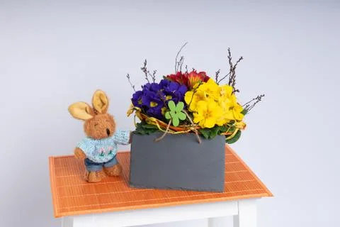 Primroses on a white stepladder as easter decoration Stock Photos