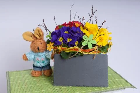 Primroses on a white stepladder as easter decoration Stock Photos