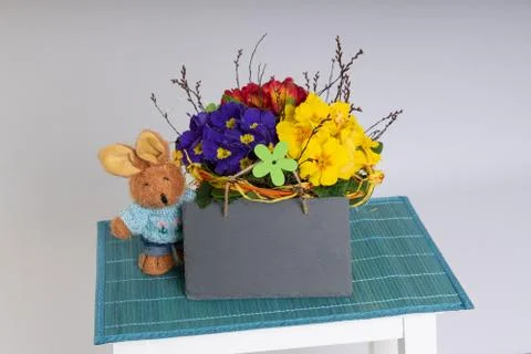 Primroses on a white stepladder as easter decoration Stock Photos