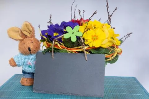 Primroses on a white stepladder as easter decoration Stock Photos