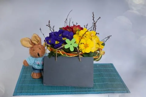 Primroses on a white stepladder as easter decoration Stock Photos
