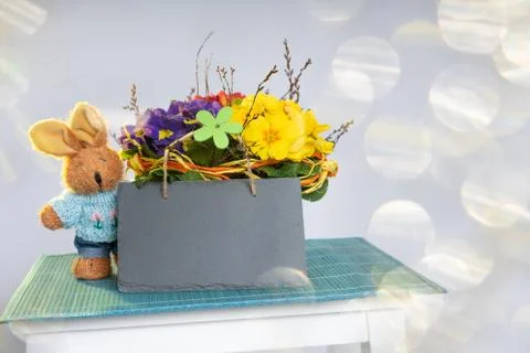 Primroses on a white stepladder as easter decoration Stock Photos