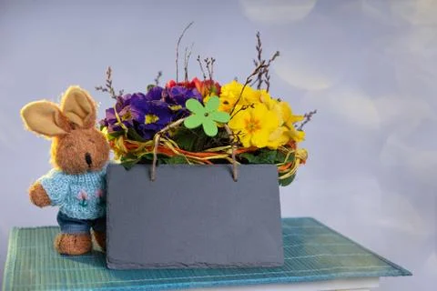 Primroses on a white stepladder as easter decoration Stock Photos