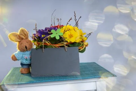 Primroses on a white stepladder as easter decoration Foto stock