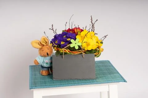 Primroses on a white stepladder as easter decoration Stock Photos