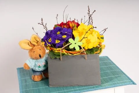 Primroses on a white stepladder as easter decoration Stock Photos