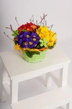 Primroses on a white stepladder as easter decoration Stock Photos