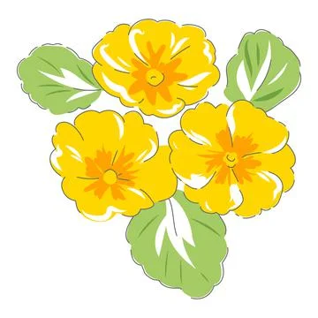 Primula spring flower Stock Illustration