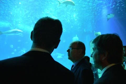 Prince of Monaco Albert II visits Oceanary in Lisbon, Portugal - 11 Oct 2019 Stock Photos