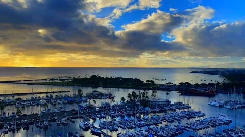 Prince time lapse Stock Footage 145438143