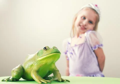 Princess and Frog Stock Photos