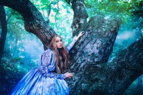 Princess in magic forest Stock Photos