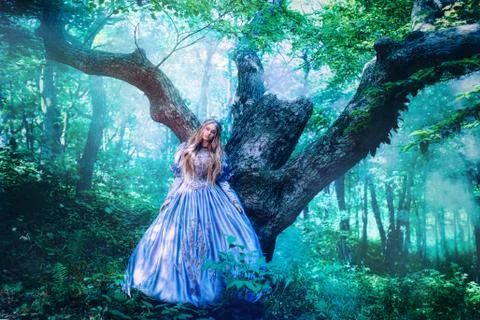 Princess in magic forest Stock Photos