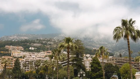Principality of Monaco. Palm trees, mountains in the clouds. Stock Footage 113353407