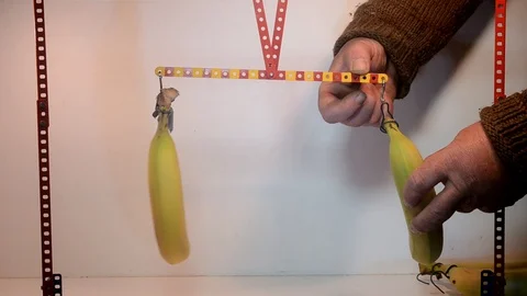 Principle of Levers model demonstration. Stock Footage 90376031