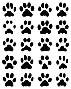 Print of cats paws Stock Illustration