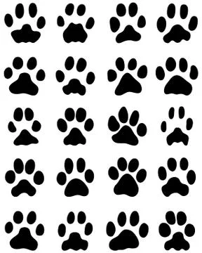 Print of cats paws Stock Illustration
