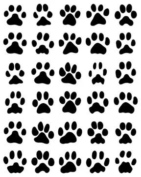 Print of cats paws Stock Illustration