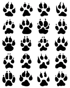 Print of dogs paws Stock Illustration