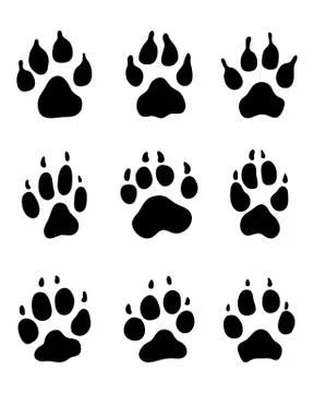 Print of dogs paws Stock Illustration
