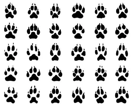 Print of dogs paws Stock Illustration