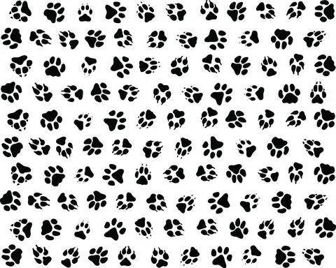 Print of dogs paws Stock Illustration