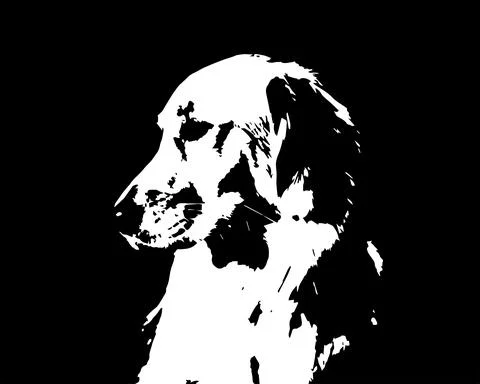 Print Stock Illustration