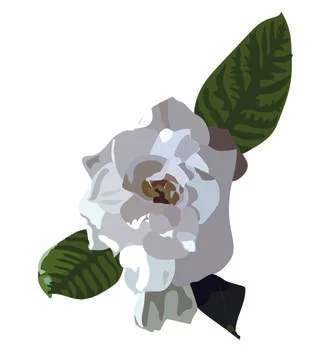 Print Stock Illustration